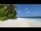 Beaches and Fishes